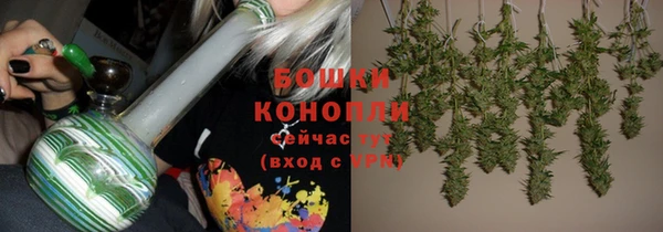 альфа пвп Елизово