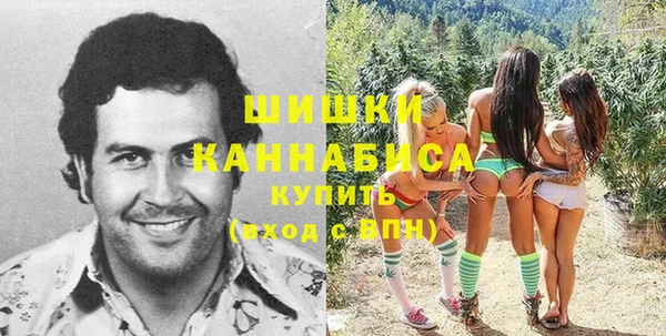 альфа пвп Елизово