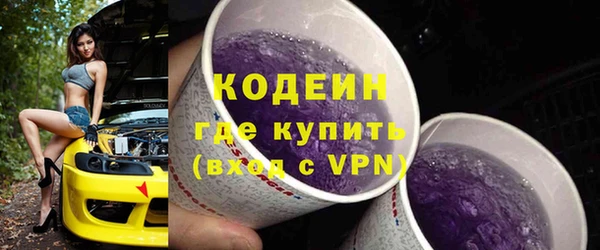 гашик Тихвин