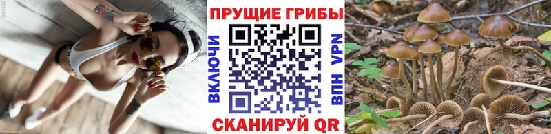 МЕГА tor  закладки  Горнозаводск  Галлюциногенные грибы Psilocybine cubensis 
